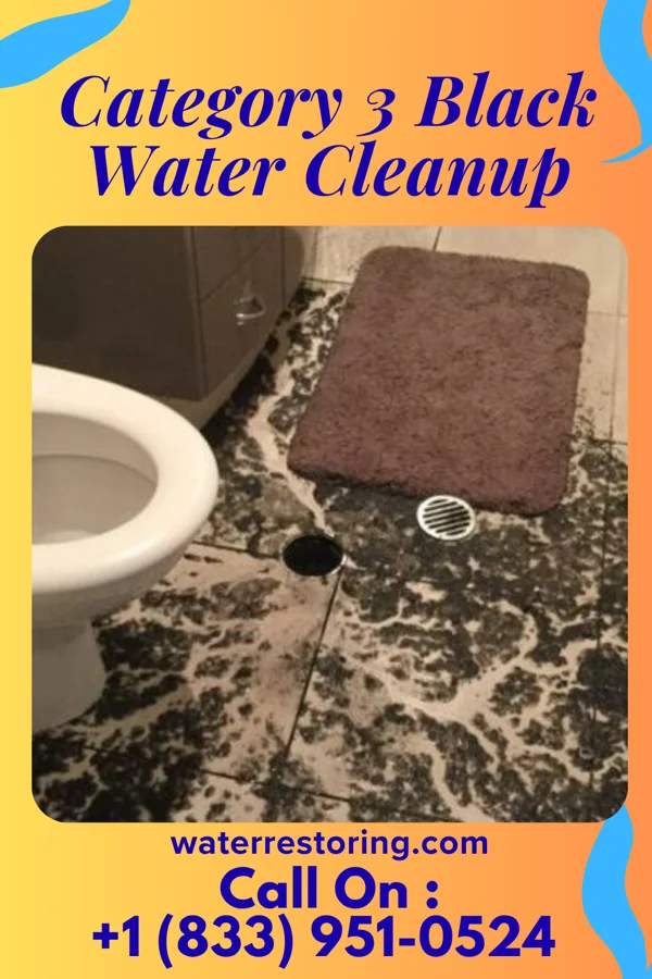 Category 3 Black Water Cleanup in Marysville, OH