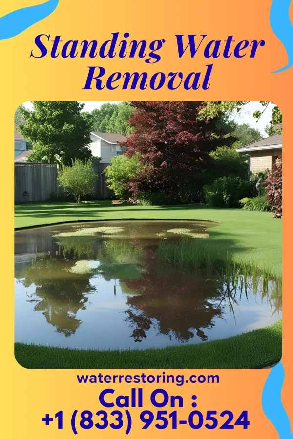 Standing Water Removal in Marysville, OH